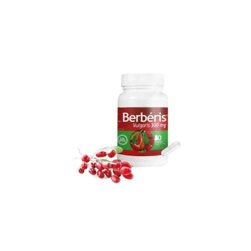 Berbèris Vulgaris 60 gélules 1 Berbèris Vulgaris 60 gélules