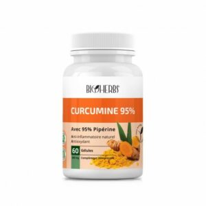 Bioherbs Curcumine 95% Gelules Boîte 60